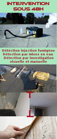 fumigene recherche fuite et test étanchéité-Sett-44-Savenay-Nantes